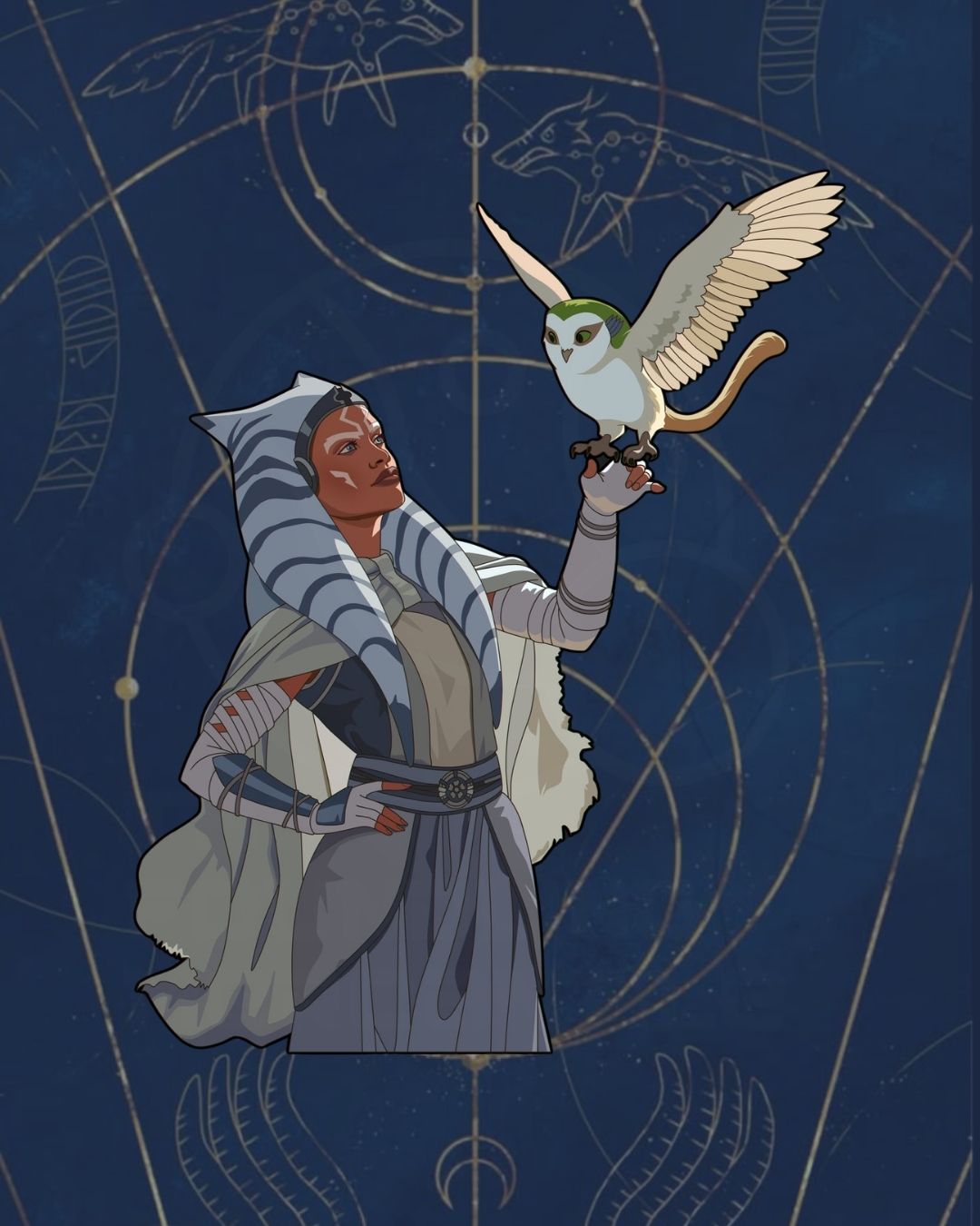 A Wise Old Friend - Presale